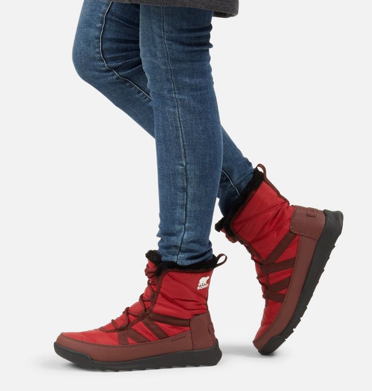 Womens Snow Boots Red - Sorel Whitney™ II Short Lace Low - 197-TXCMWY